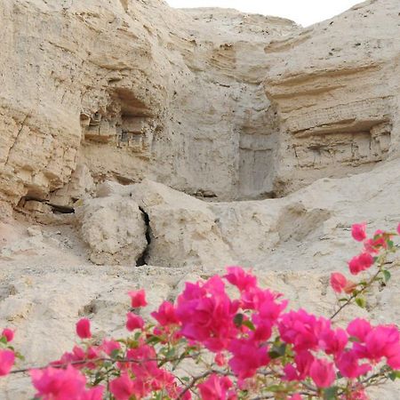 Dead Sea Dawn Villa Neot HaKikar Luaran gambar