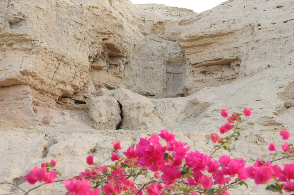 Dead Sea Dawn Villa Neot HaKikar Luaran gambar